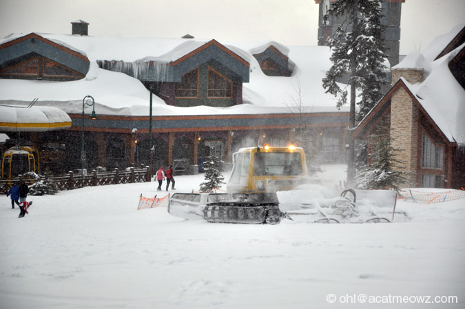 2010.04.08 0629p BigWhite